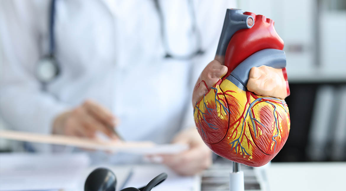 What does a Cardiologist do?: How to Work with One - ARANTIS PHARMA